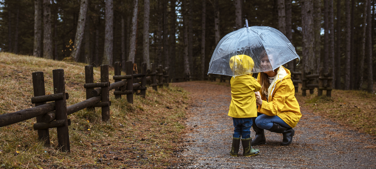 Indiana Umbrella Insurance Coverage